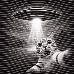Animal Text Series-AT 3304
